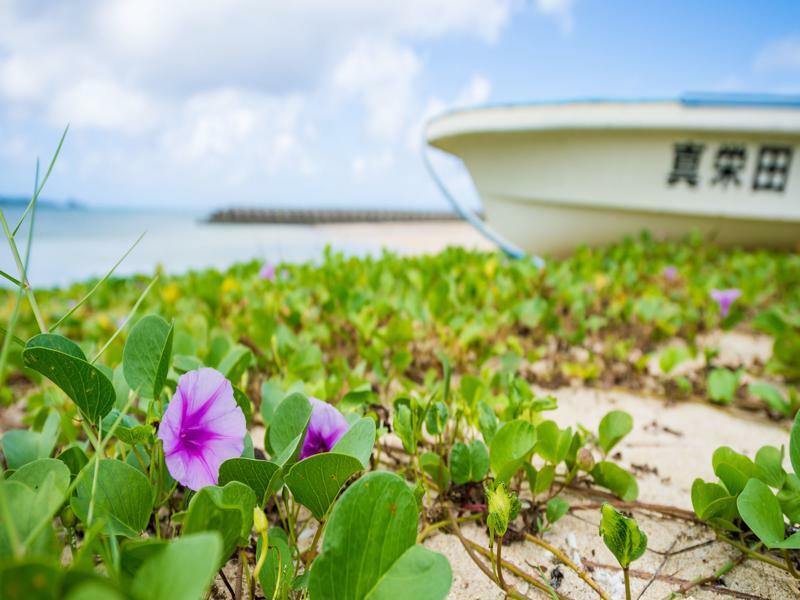 United Resort Ocean Front Onna Ngoại thất bức ảnh
