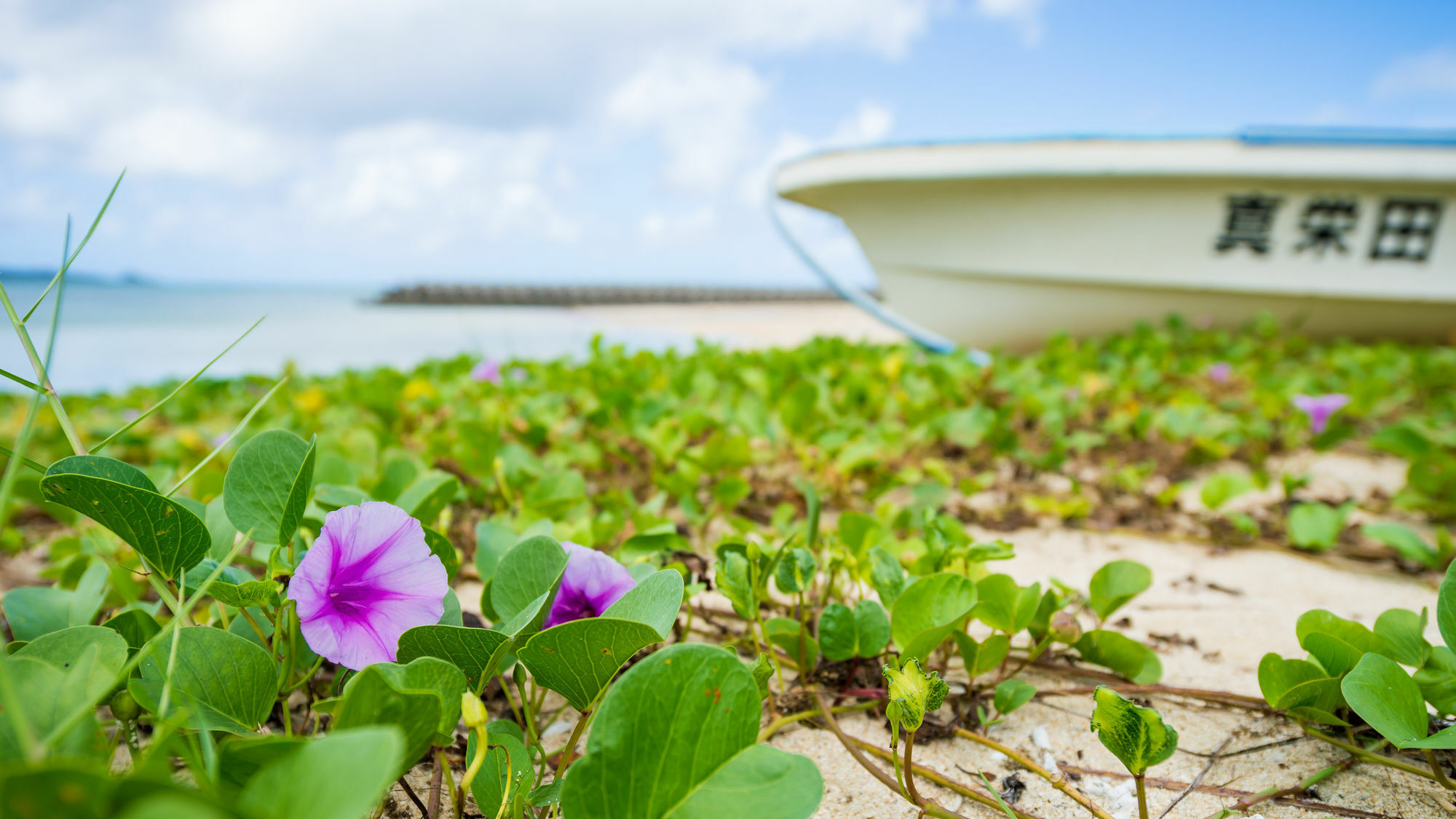 United Resort Ocean Front Onna Ngoại thất bức ảnh